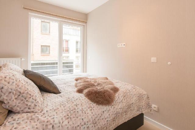 Prachtig Zeezicht Appartement أوستيند المظهر الخارجي الصورة